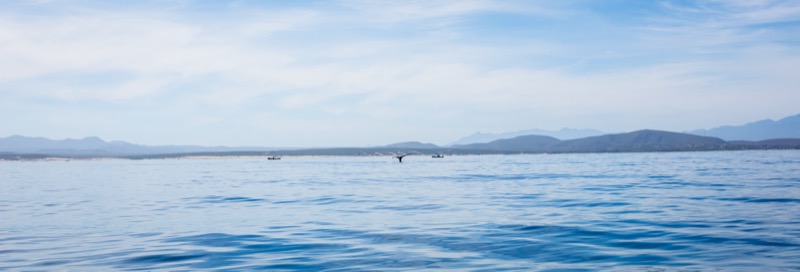 _Baja_2016-29.jpg