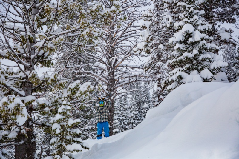2019 Ski Road Trip