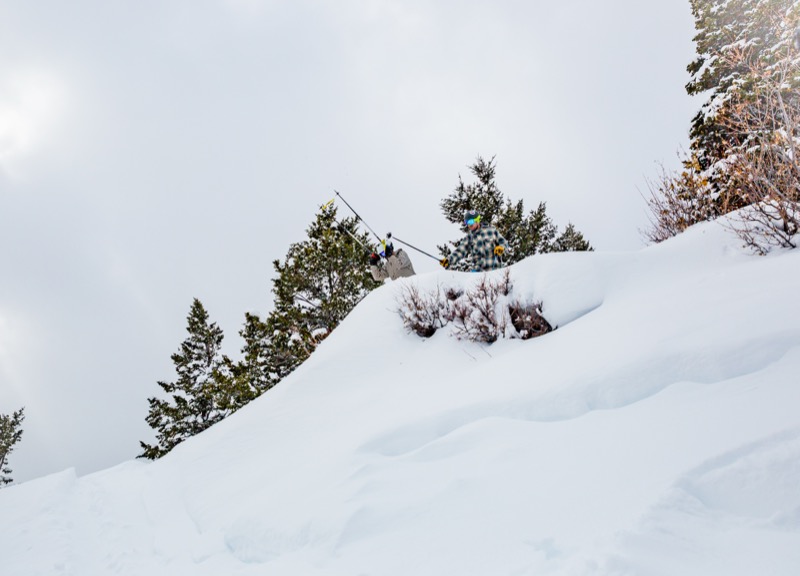20190118-GC1A0330.jpg